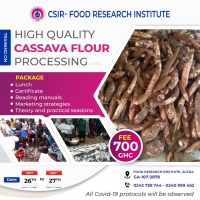 High Quality Cassava Processing Training